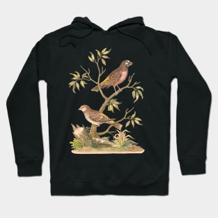 Finch Bird Nature Illustration Hoodie